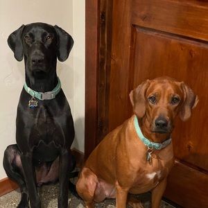 Meet your Posher, Cathy